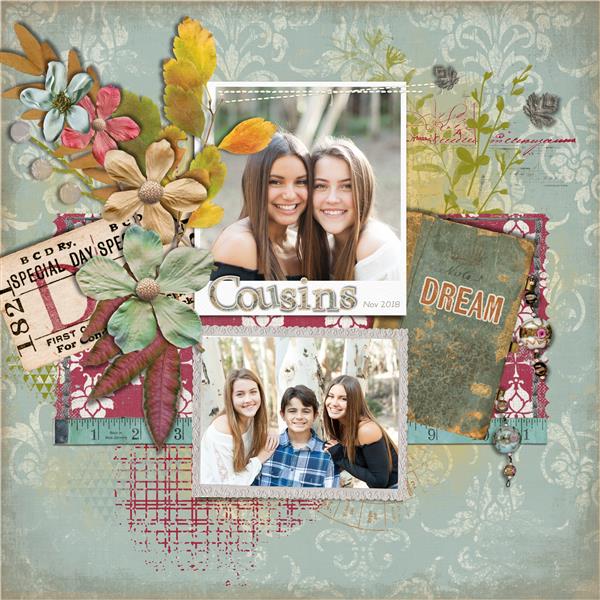 Cousins2