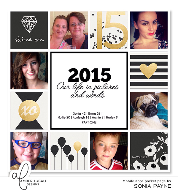 Cover 2015 Album part one