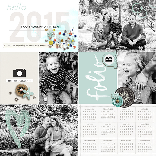 Cover 2015