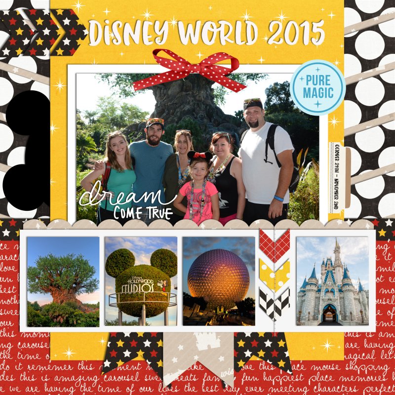 Cover for Disney World Album