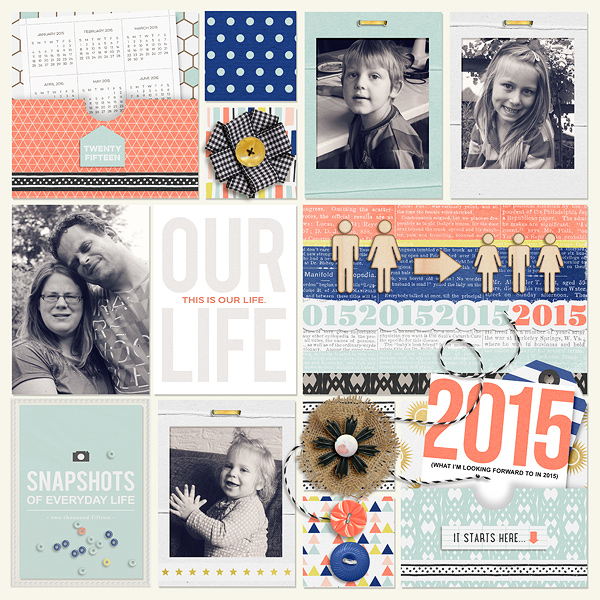 Cover page 2015