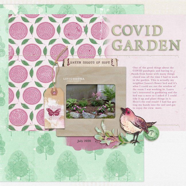 Covid-Garden-LG-March-2024-Featured-Product-Challenge