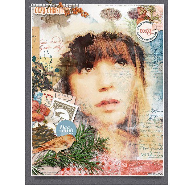 COZY CHRISTMAS