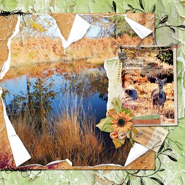 Cozy Scrapbook