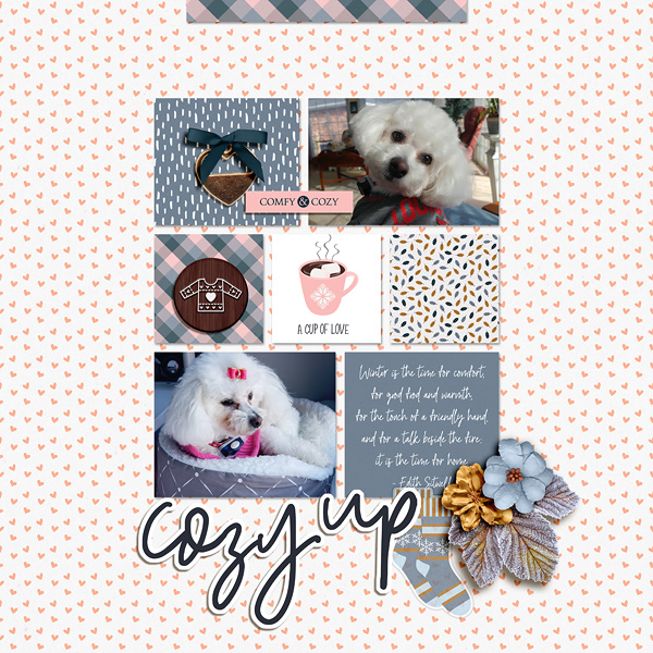 Cozy Up