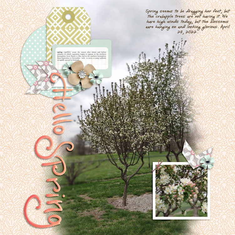 Crabapple