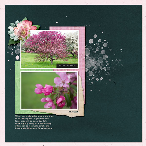 Crabapples