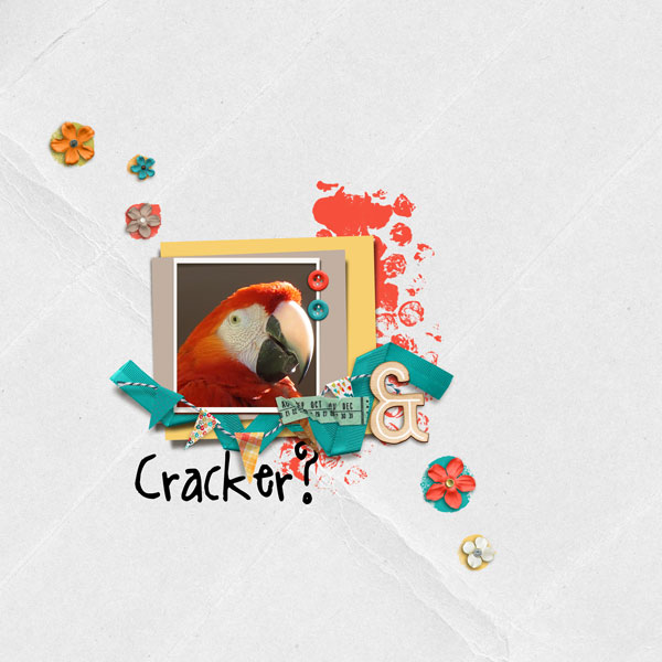 Cracker?
