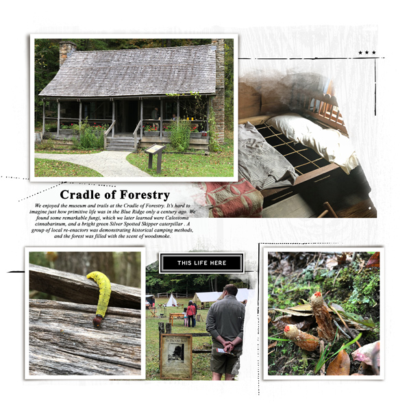 Cradle of Forestry