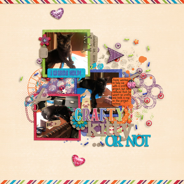 Crafty Kitty