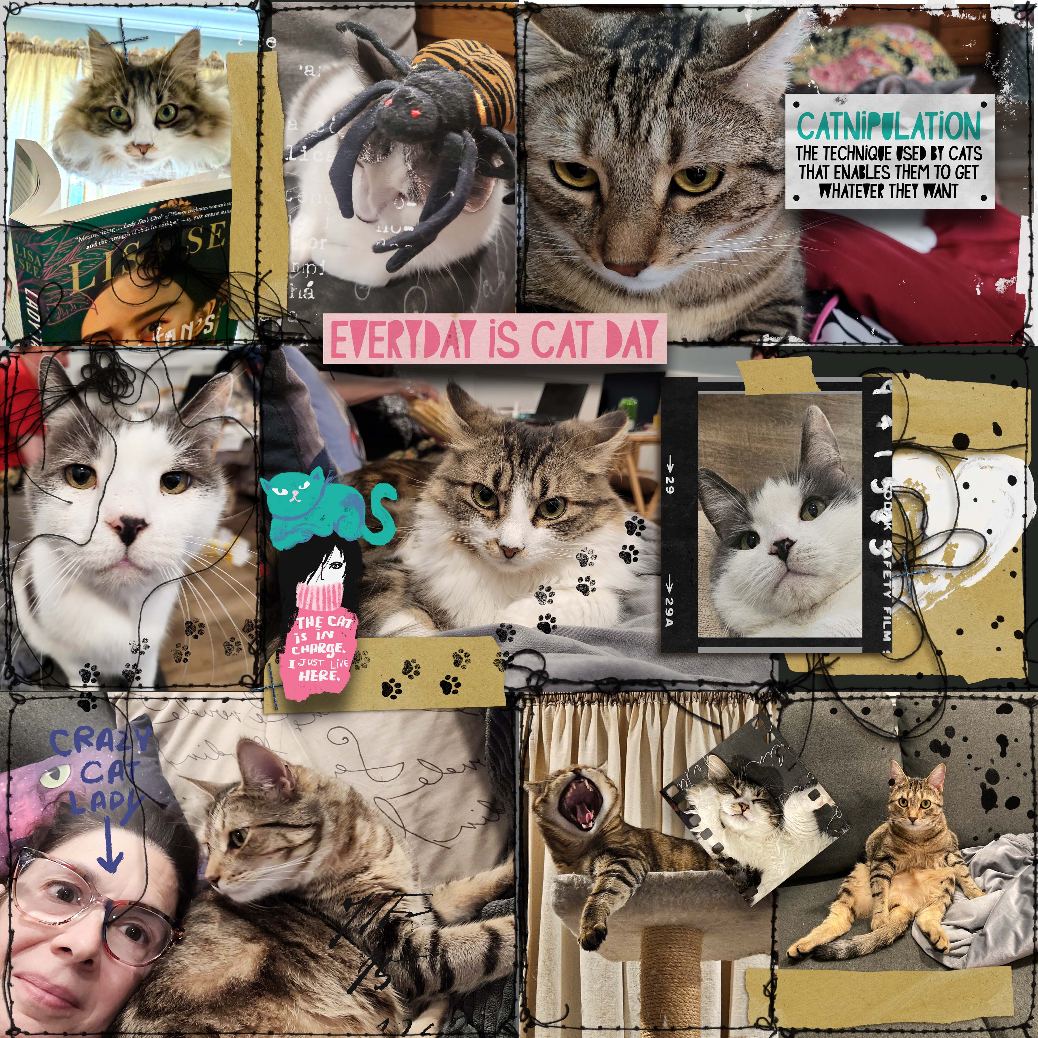 Crazy Cat Lady April Style Challenge.jpg