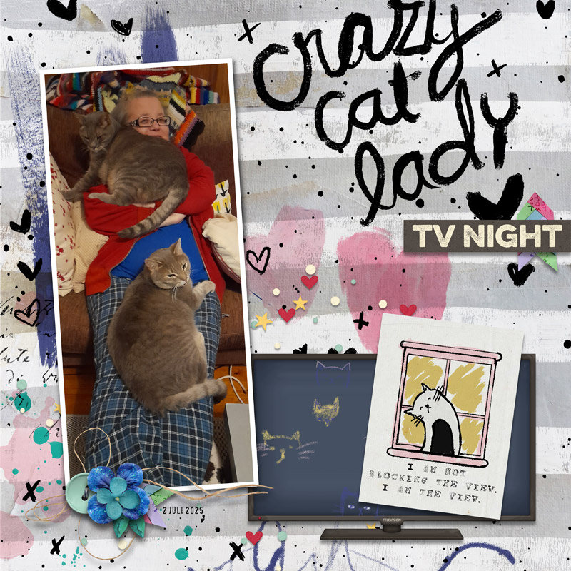 Crazy Cat Lady TV Night