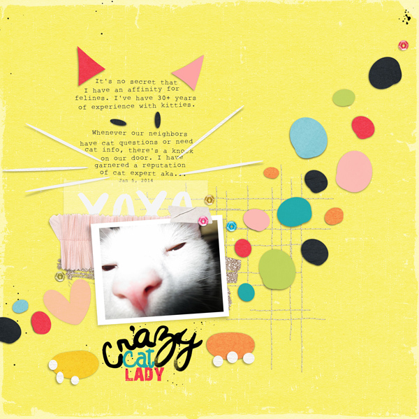 Crazy Cat Lady