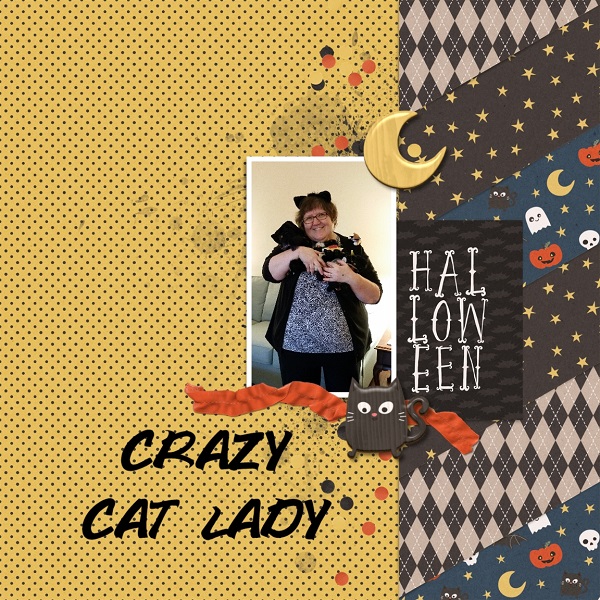 Crazy Cat Lady