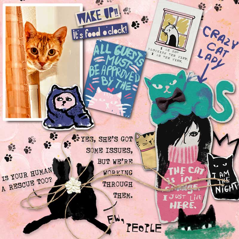 Crazy Cat Lady