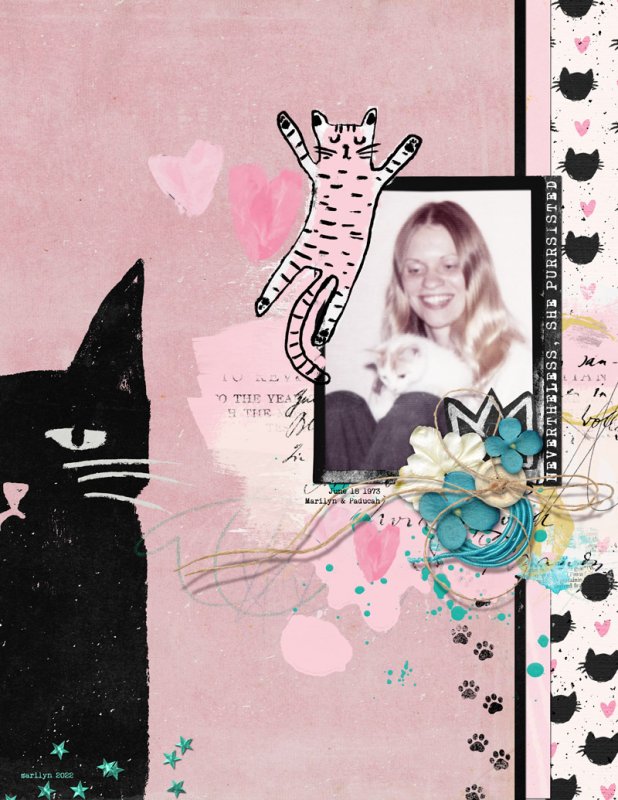 Crazy-Cat-Lady