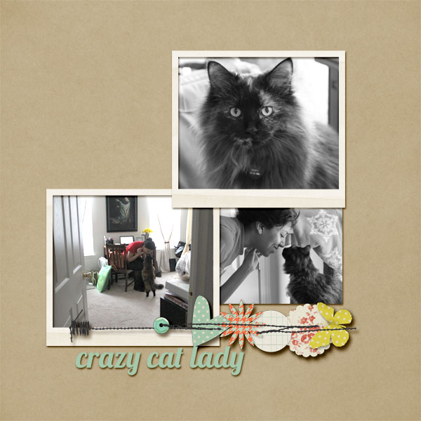 Crazy Cat Lady