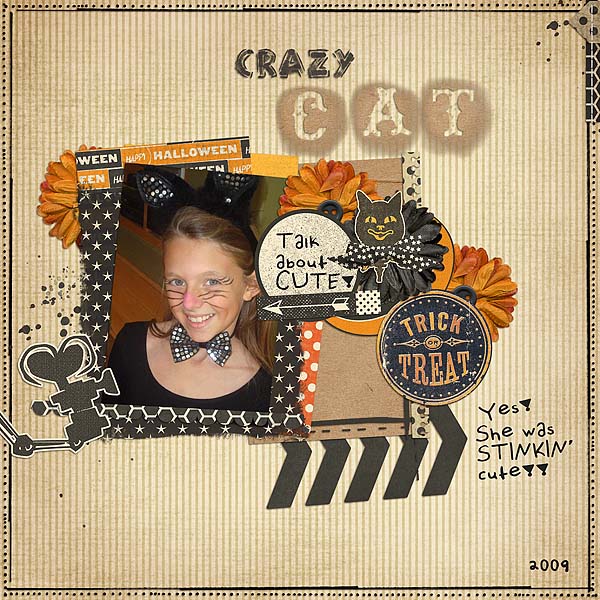 Crazy Cat