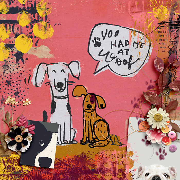 Crazy dog lady