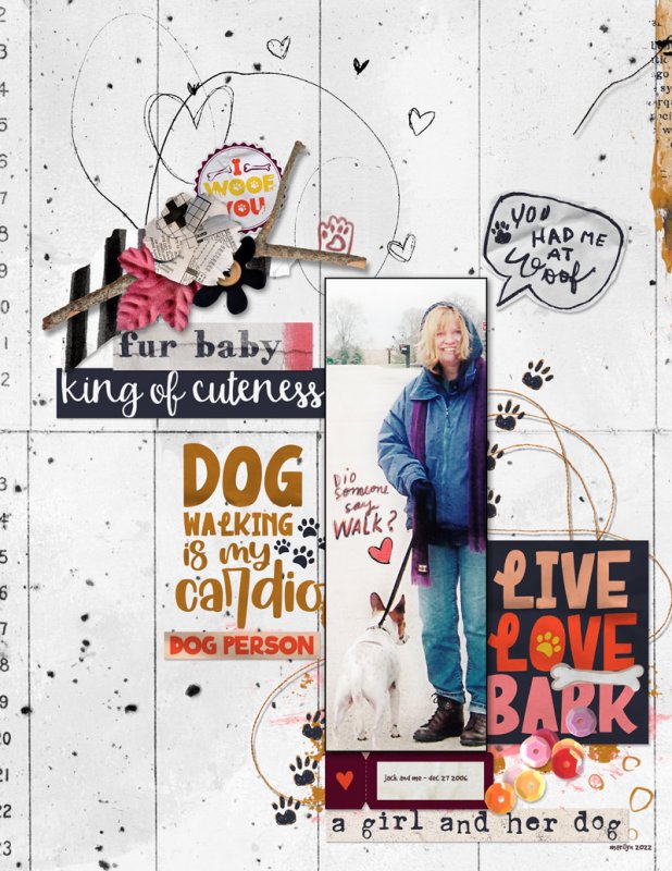 Crazy-Dog-Lady