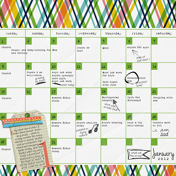 Crazy January 2012