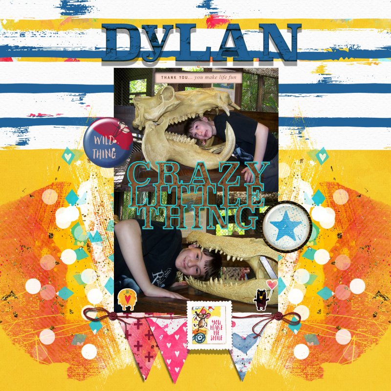 Crazy Little Thing Dylan