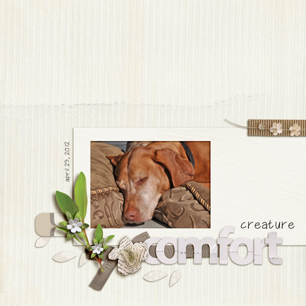 creature comfort