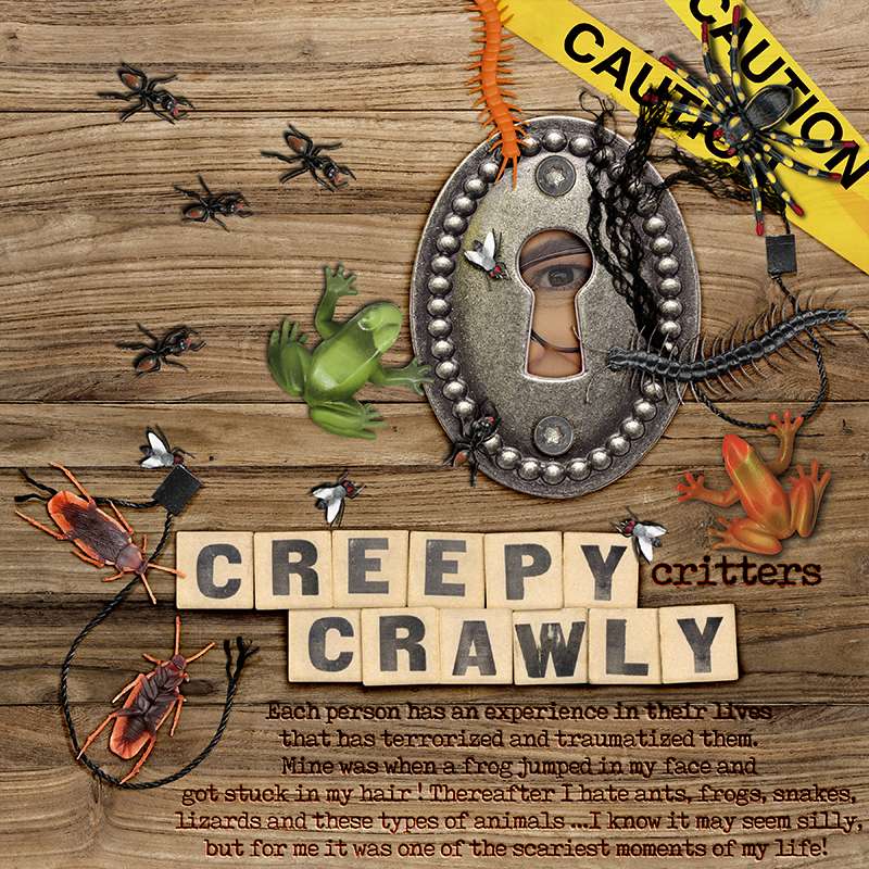 Creepy Crawly Critters