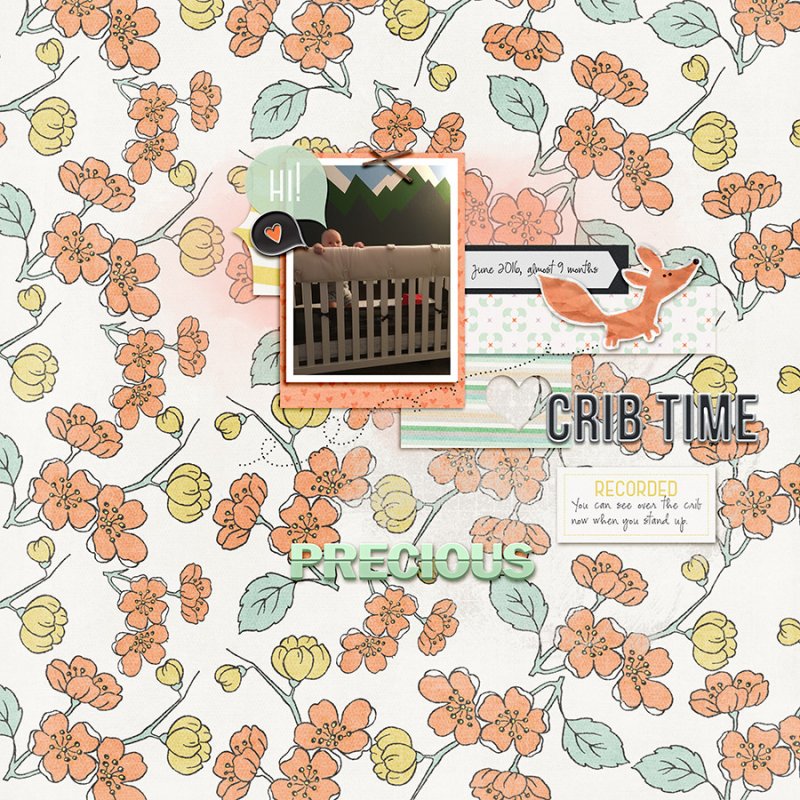 CribTime062016_012018