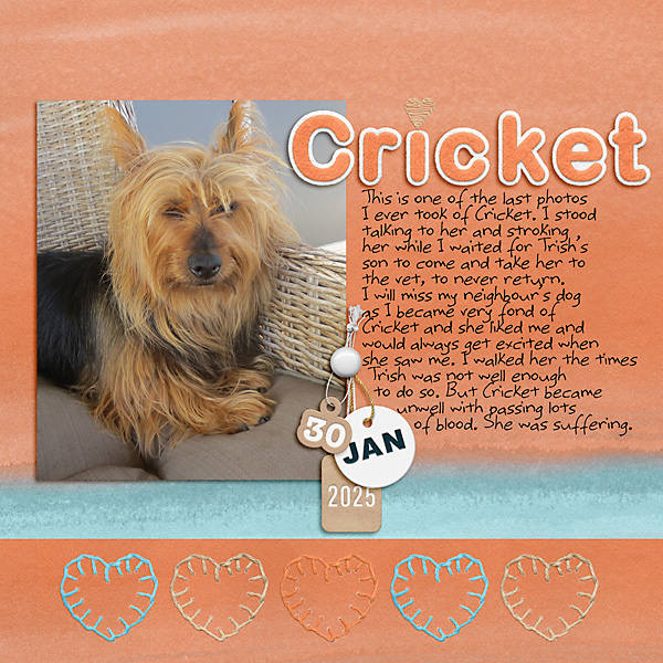 Cricket