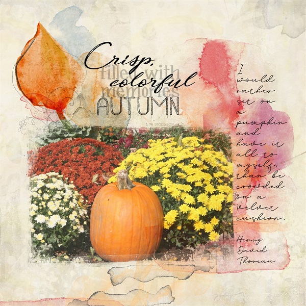 Crisp, Colorful Autumn