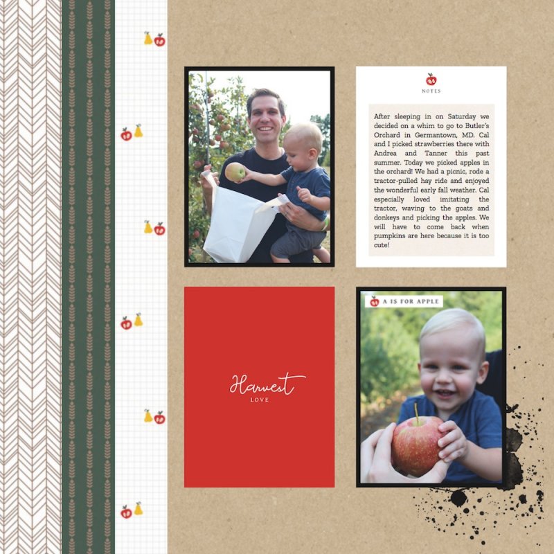 Crisp Kit and Cards 2