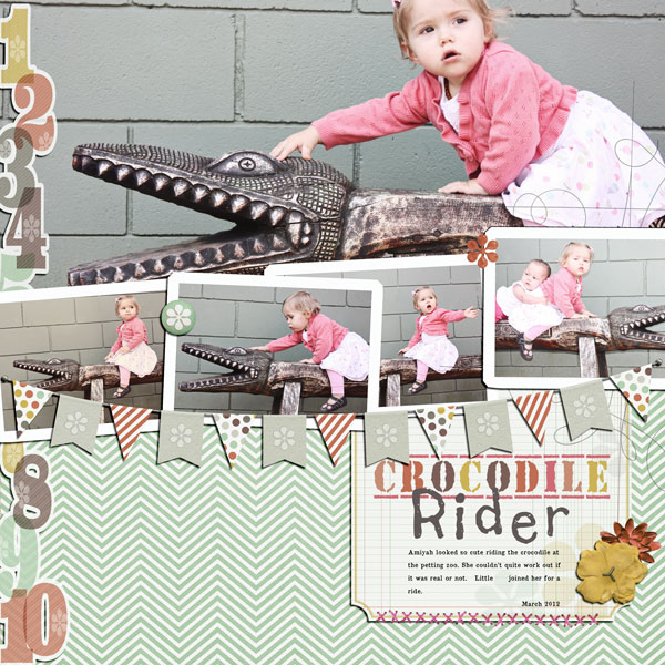 Crocodile Rider