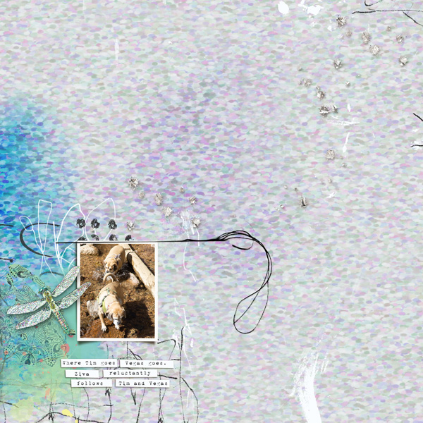 Crossing-the-creek-2-temp