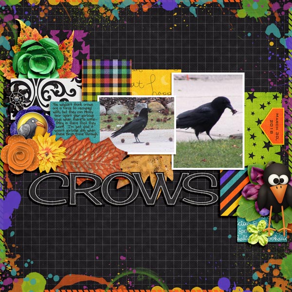 Crows