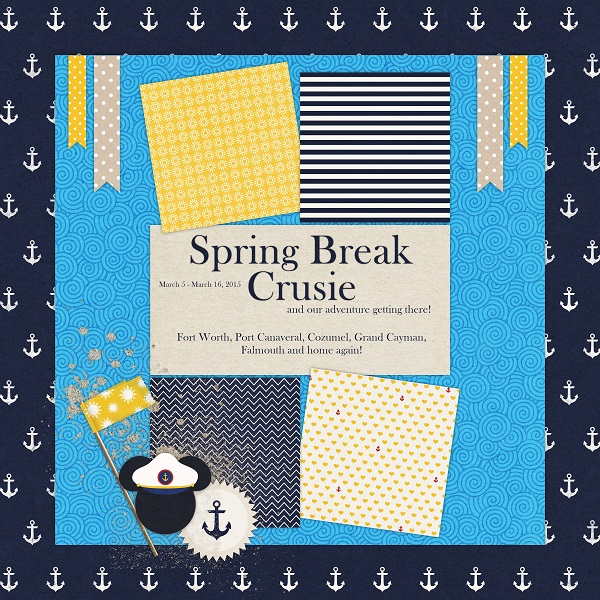 Cruise Cover