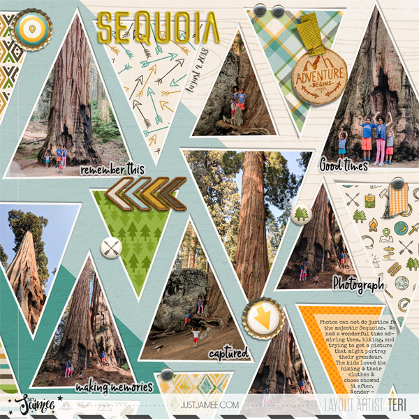 CT0818-2018-08-Sequoia-1