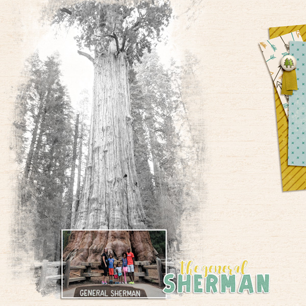 CT2019 02 2018 08 General Sherman