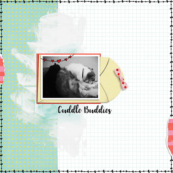 Cuddle Buddies