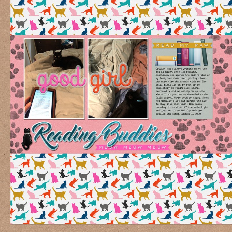 CuddleBuddy082020JC
