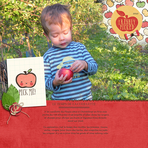 Cueillette des pommes