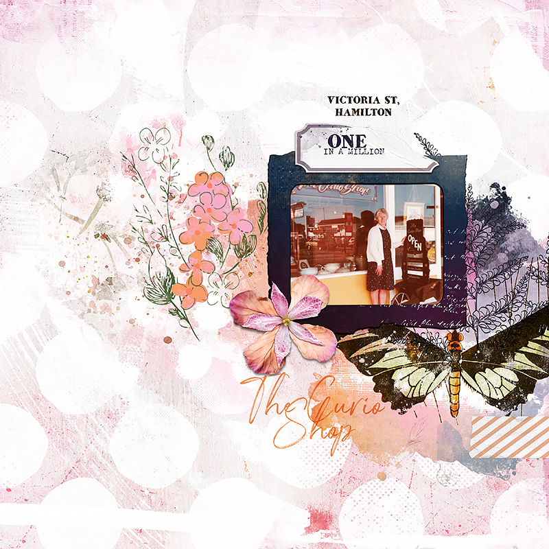 Curio Shoppe