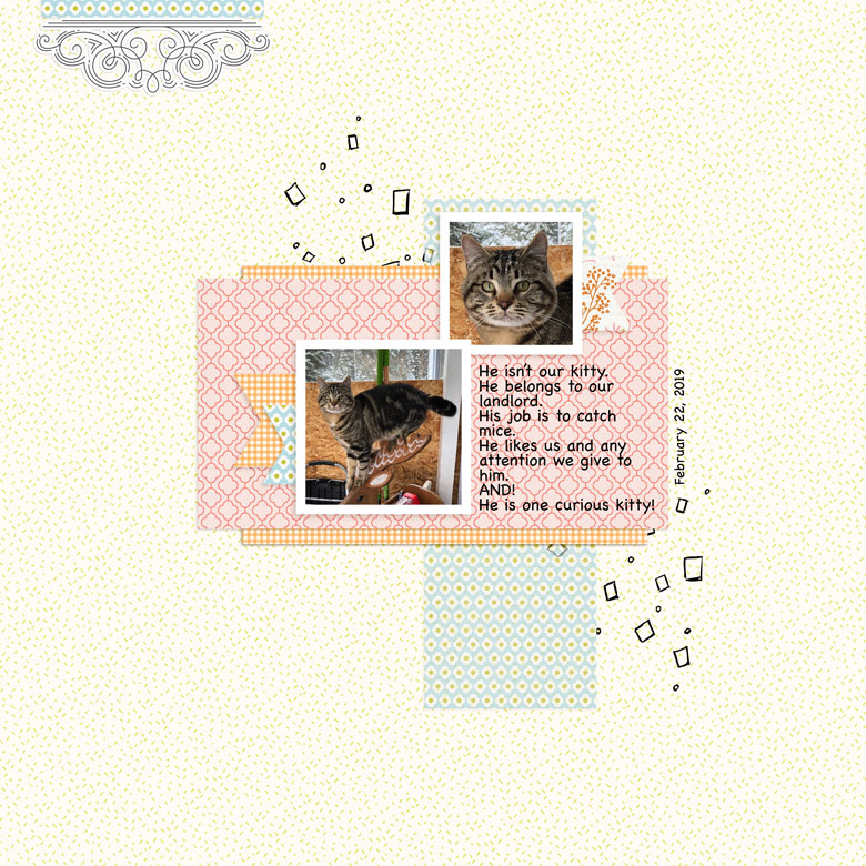 CURIOUS KITTY #TLPLOD - One Little Bird