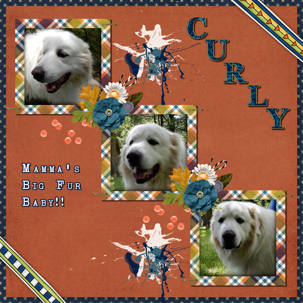 Curly-boy