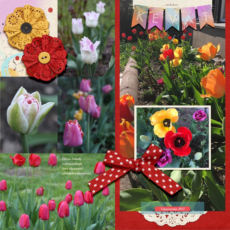 Currently: Tulips
