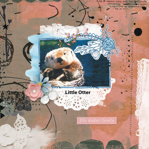 Cute Little Otter