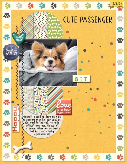 Cute-Passenger