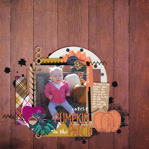 Cutest Pumpkin in the Patch