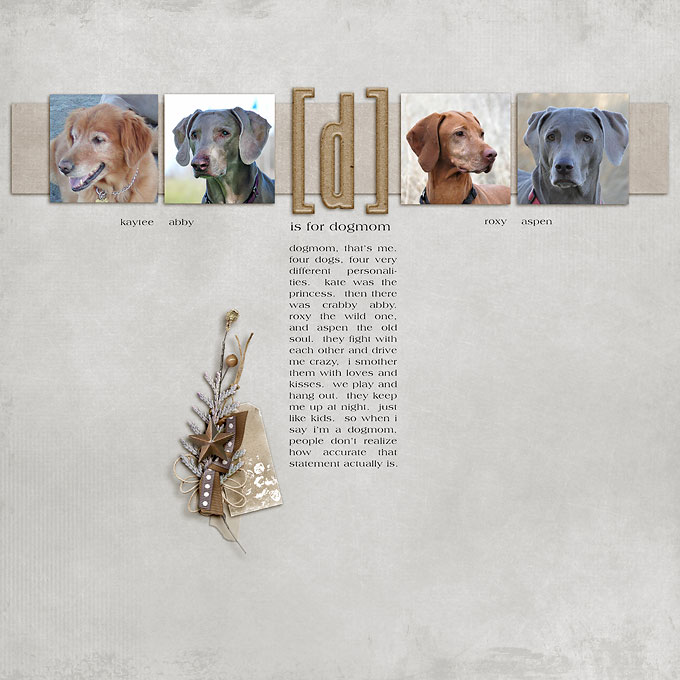 d is for dogmom