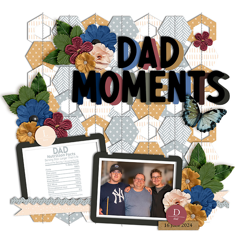 Dad Moments